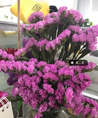 @��ԲԲ ��һ�������͵Ļ���������˿����������...