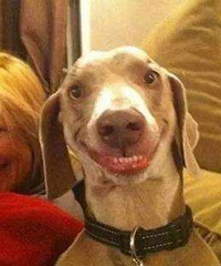 �ӹ����ϵ���������� �򷿵��˻��Ǻܶ࡭