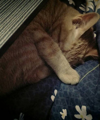 �������ĵ��Ϲ��ͺõĹ������� ���������