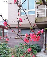 80����޲���г�������������������һ��