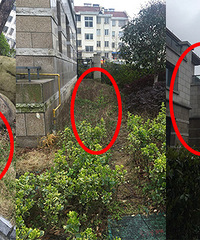 ����ĳС���Ӳݴ��� ���˱����о�������ũ��