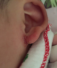 �������������õ�