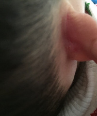 �������������õ�