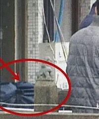 ����һ���ⷿ�ڷ�����ʬ ��������