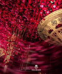 ˢ������Ȧ�ĺ�����������ֳ�ͼ������~���첼��������