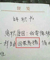 �о��Լ��Ԍţ����ҿ�3K��н1�궼����  �������Ҵ�ְ��