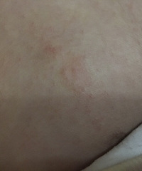 ʪ������