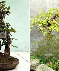 ���Ҫ��� �����500�û�ľ�Ҹ��ù���