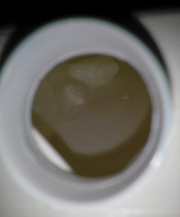 �ڳ�����Ĺ�����ţ�� ��Ȼ�ȳ��˿��µġ���״�