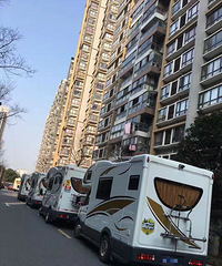 С����ķ����鳵�� ţ����