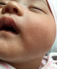 �ǲ���ʪ�