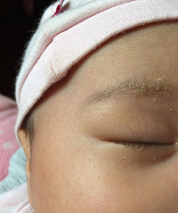 �ǲ���ʪ�