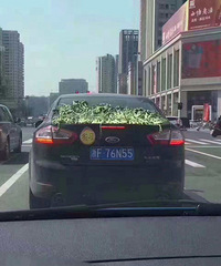 �⳵���ˣ�һ�Բ��Ϸ���һ������...