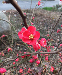 ��ů������̤���ɺ�