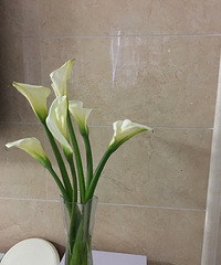 �л�����ֱ���ۣ�Ī���޻�����֦