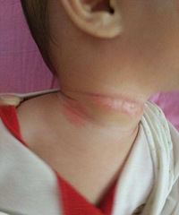 �����������Ͳ������ɻ��ۺû����ͺã�