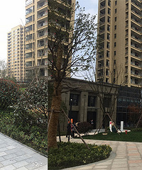 ���ȿ�����������ʵ��ͼ