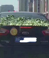 ��ͷ������ ·�ϱ߿���ɹ��