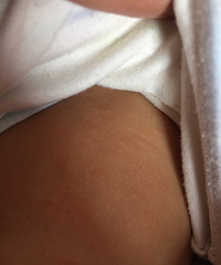 ��Ƥ ���� ���� ����ʪ������