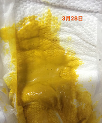 ������ǰϡ