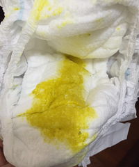 �����Ѿ�����5���������ˣ�����