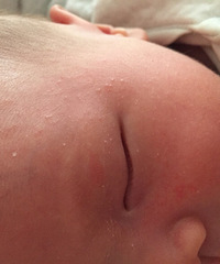 ��ʪ������������