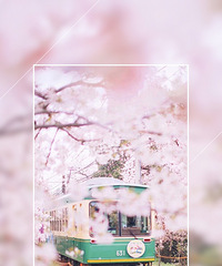 91��MM ����168 �����������ĵ����� ����̾Ʋ�մ