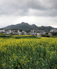 �쳾���İ�ϻ���