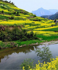 �쳾���İ�ϻ���