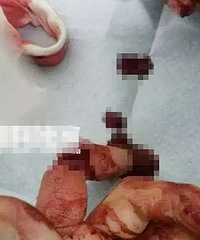 ������ì�� ���ž�Ȼ�ᵶ�����Ϲ�����ָ