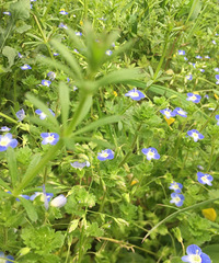 ������һ֪�����ӣ��ҵ�֪�������