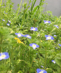 ������һ֪�����ӣ��ҵ�֪�������