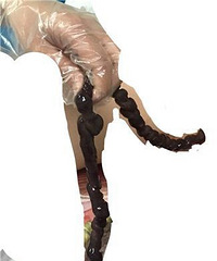 δ����̥�����Ťת53Ȧ����