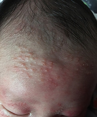 ʪ������������֧����