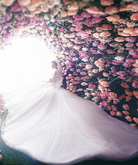 ��ɽ�˺����绨������ �����������Լ�