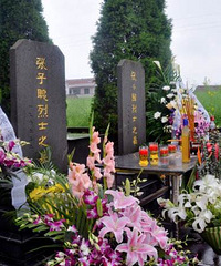 ������������߰��� �ż�˵ʲô��������ȥɨĹ