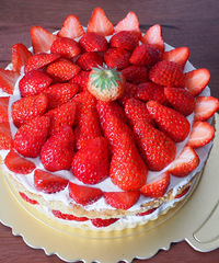 ���޵��ҵĲ�ݮ���� ��ֱ̫��������