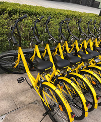 ��һƷ�ƹ�������������� ofoС�Ƴ�Ҳ���ˣ�