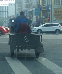 ˭˵�й������������žž���� ֤���ڴˣ�