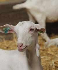 ����ĸ�������ʪ������ �뻻���̷ۣ�