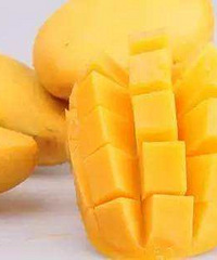 ��!���˸�����ι���� ��������â�� ���ɾ���...