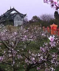 �滨����������������Ѱ������ǡ�