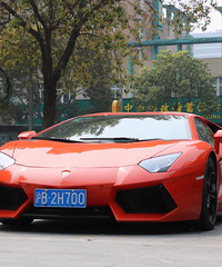 �������800�����������׷β������ �������ոܼ�ʮ��