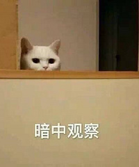 ����ȱ��ȱ���ֺ��ܳԵ�ŮƱ��92��MM ��ƽ�����