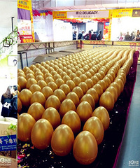 ������ȫ�Żݶ�������ˣ������ҽ𵰣�