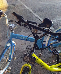 ��������PK ��С����ofo�Ҷ�����