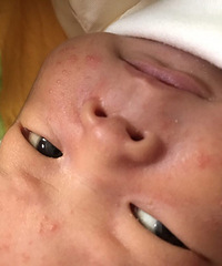 ����16�����ϵĶ�����ʲô���������