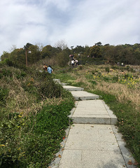 ���������£�