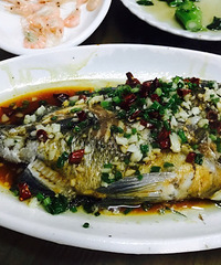 ȥ��ɽ�Ժ��� 160Ԫһ����� ���ǵĴ�ˣ�