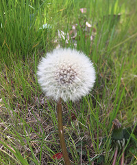 ·������